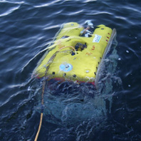 ROV and Side Scan Surveys